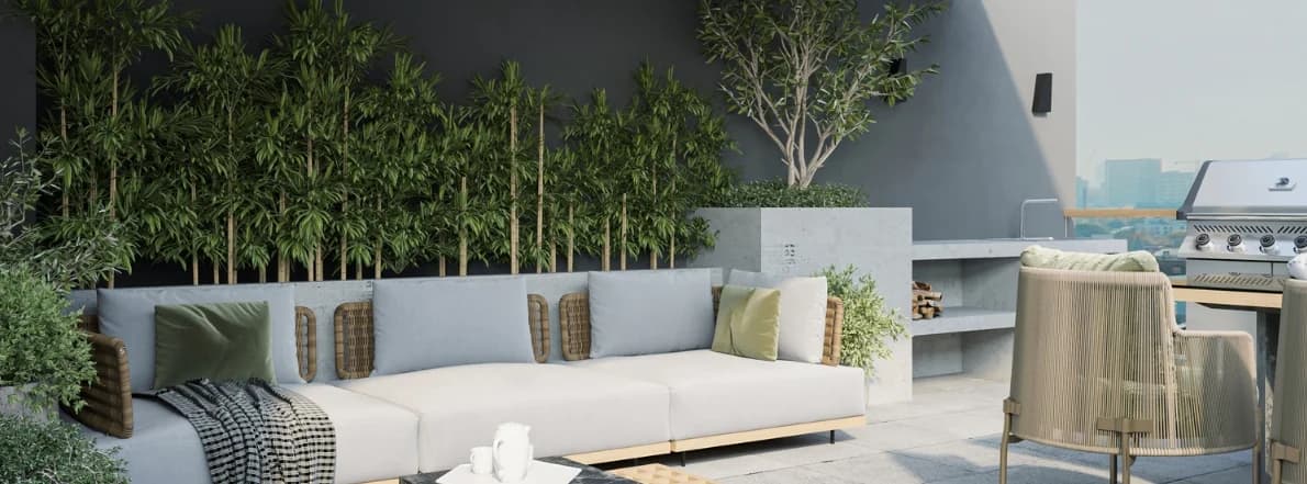 为什么要用室内植物装饰家居很重要?